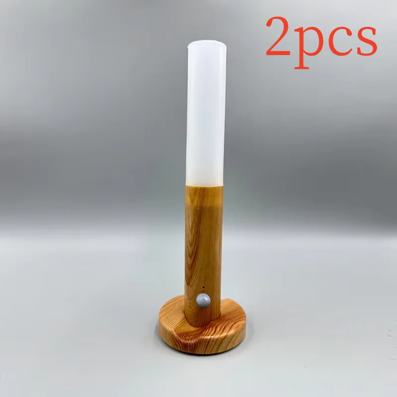 LED Night Light USB Charging Intelligent Human Induction For Bedside Cabinet Home Wardrobe Lighting Motion Sensor Light Led Lamp - Teglex