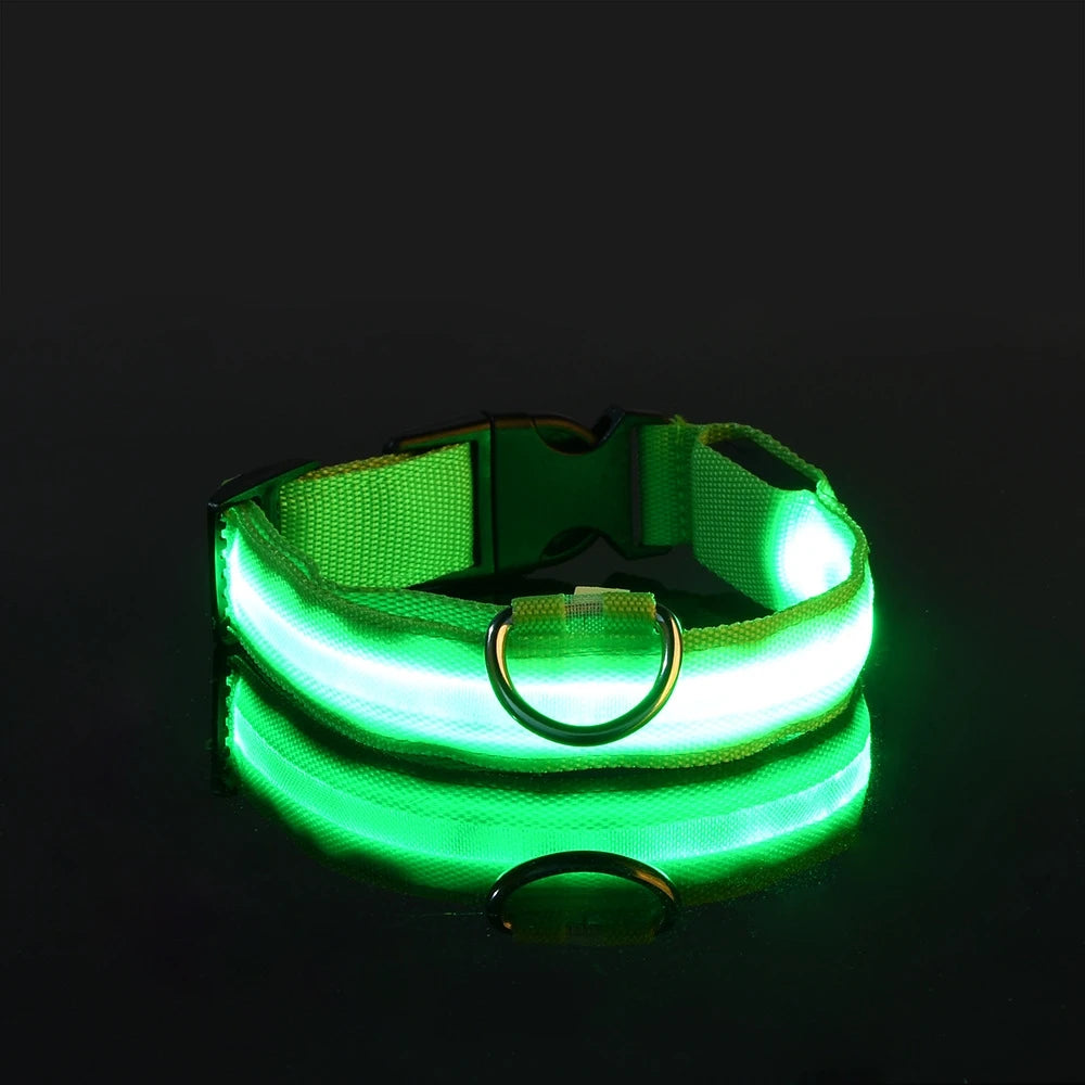 LED Glow-in-the-Dark Dog Luminous Collar
