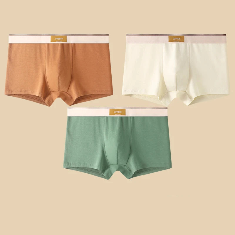 3pcs Men's Breathable Cotton Boxer Shorts Underwear
