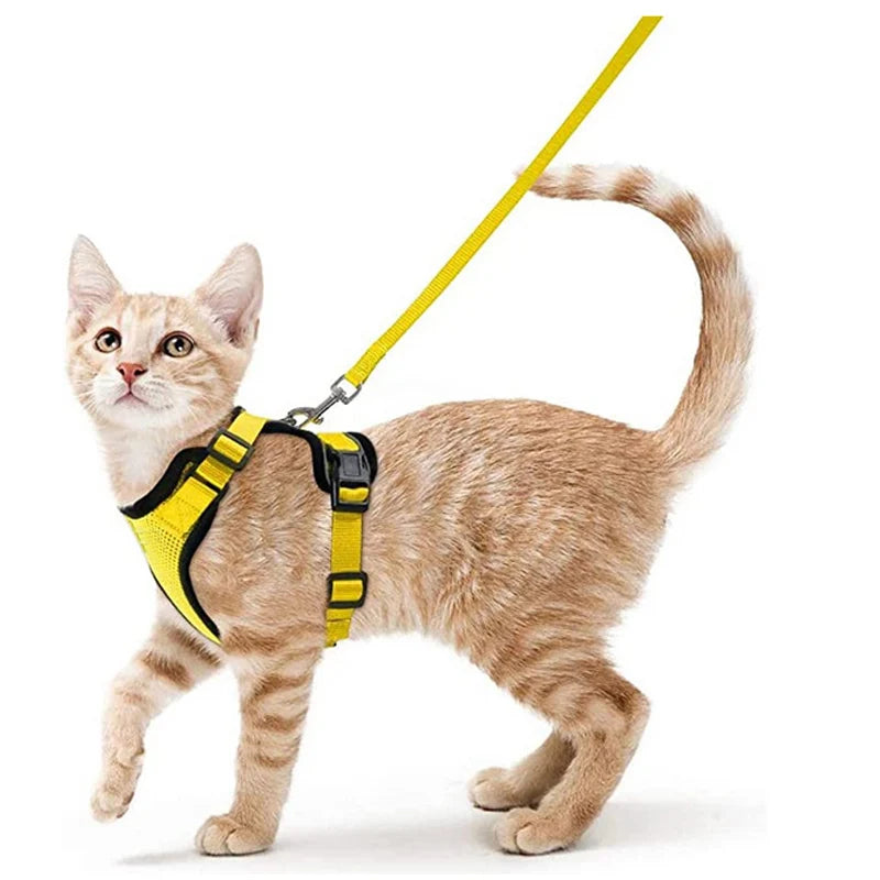 Escape-Proof Cat Harness & Leash Set – Soft Adjustable Vest