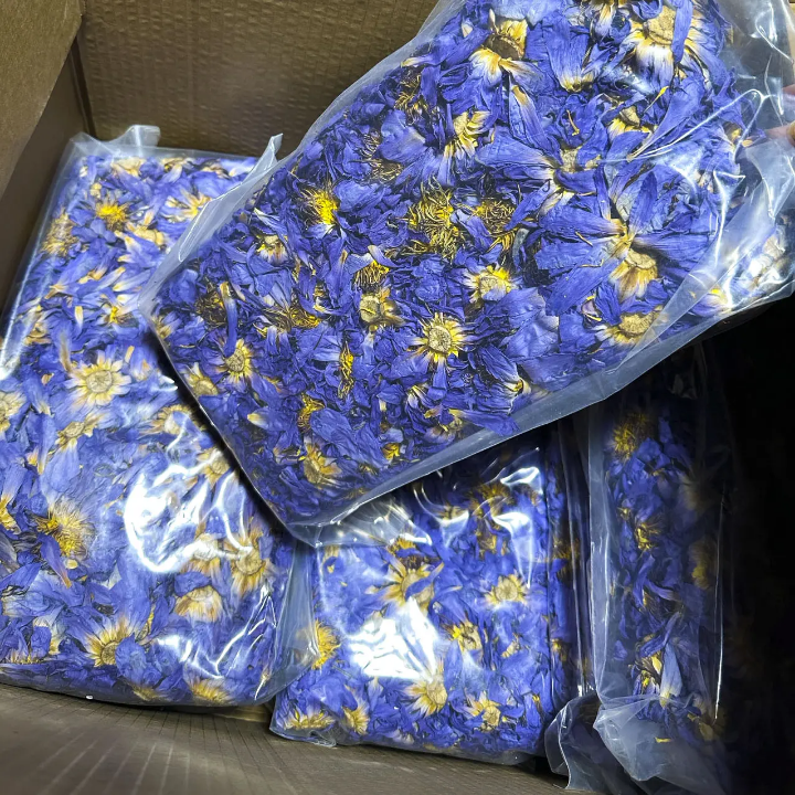 Sun-Dried Blue Lotus Flowers – Egyptian Water Lily
