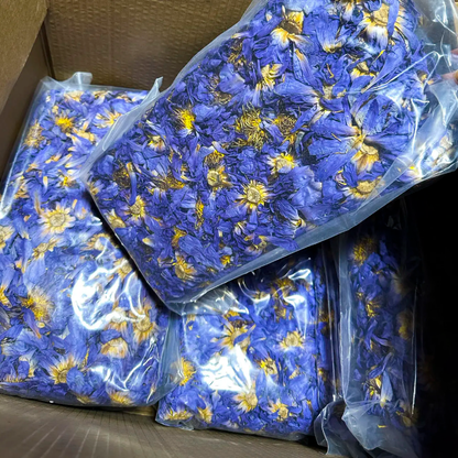 Sun-Dried Blue Lotus Flowers – Egyptian Water Lily