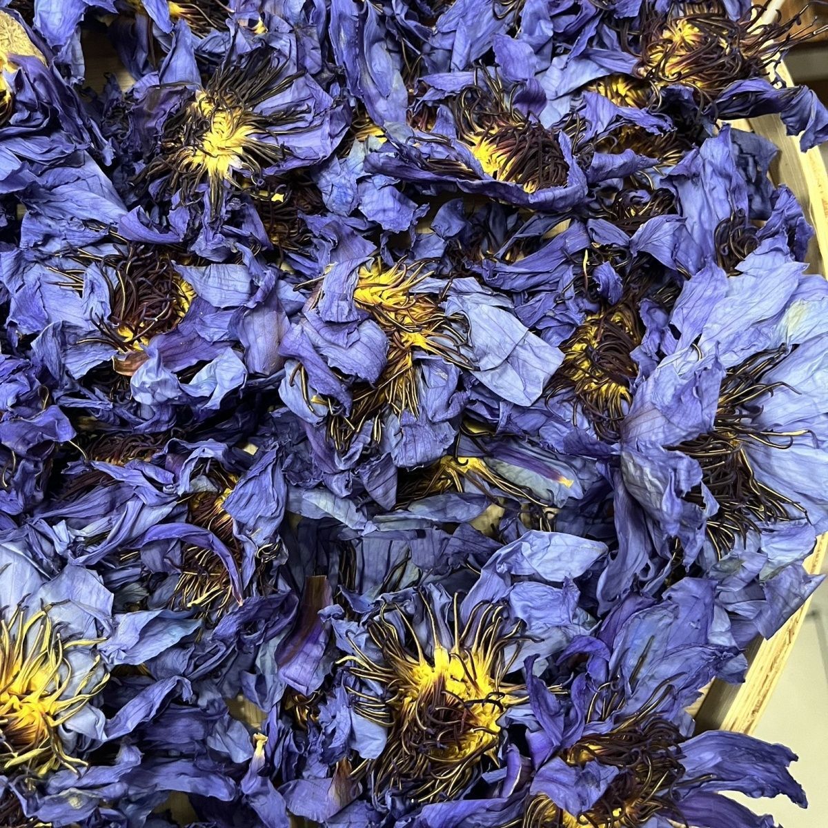 Sun-Dried Blue Lotus Flowers – Egyptian Water Lily
