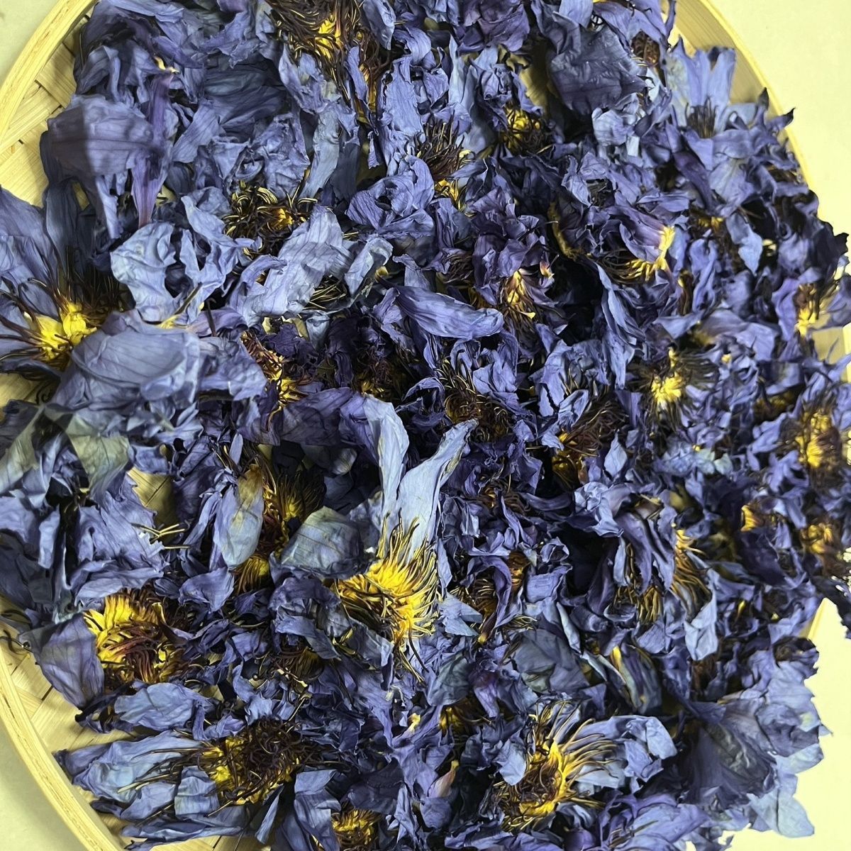 Sun-Dried Blue Lotus Flowers – Egyptian Water Lily