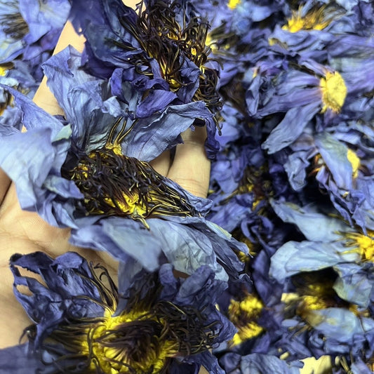 Sun-Dried Blue Lotus Flowers – Egyptian Water Lily