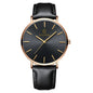 2025 Luxury Business Men Watches Men Gold Watch Ultra Thin Mens Watches Leather Quartz Watch Man Wristwatch horloge mannen