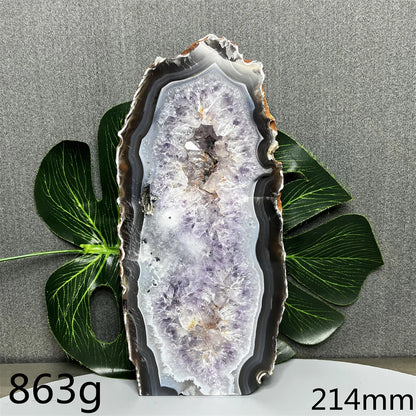 Geode slice with green leaves on a gray background