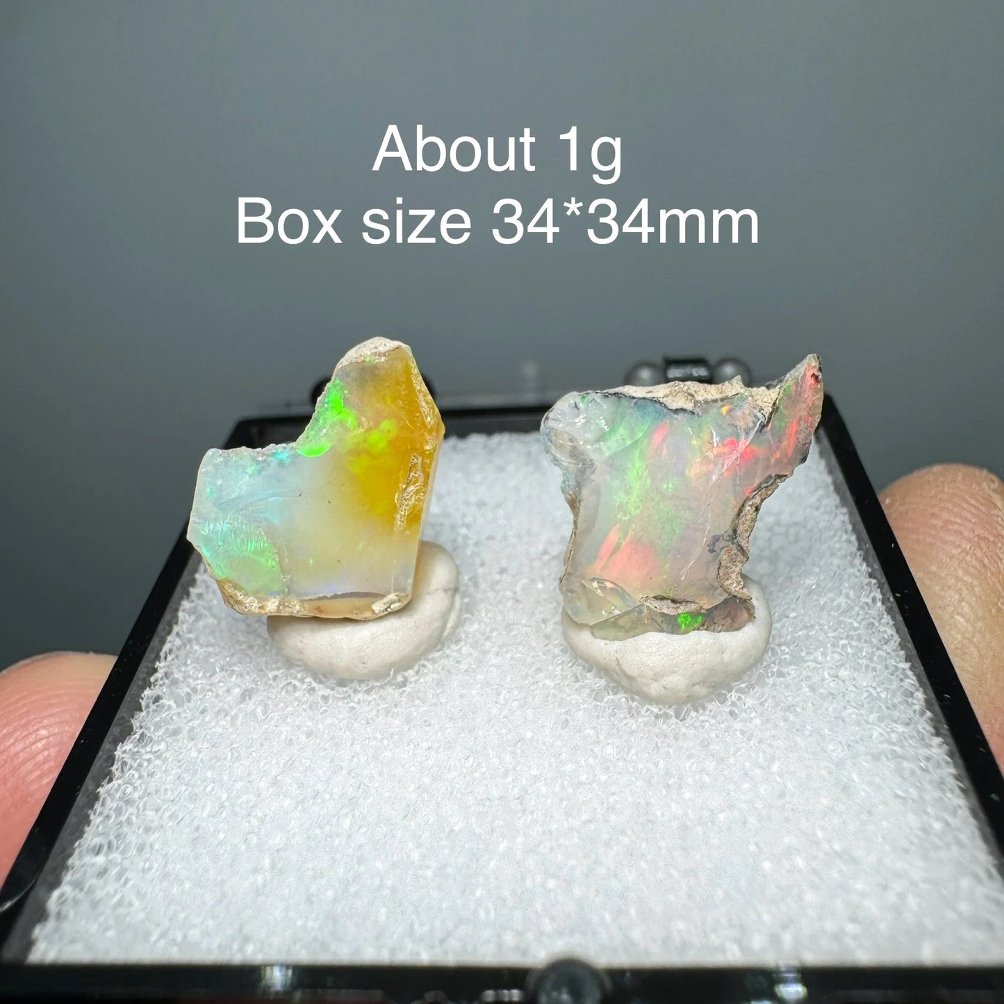 Two pieces of opal stone in a display case with text indicating weight and box size.