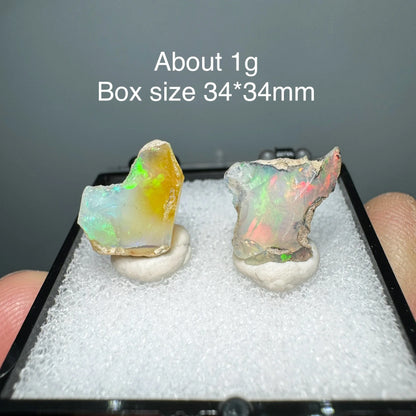 Two pieces of opal stone in a display case with text indicating weight and box size.