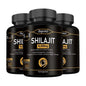 Himalaya Shilajit Capsule Original High in Trace Minerals for Energy,Muscle Strength&Immunity, Endurance for Adult