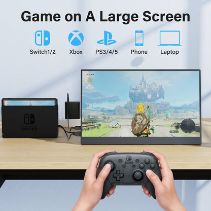 15.6" Portable Monitor 1080P IPS USB-C HDMI VESA Mount Display