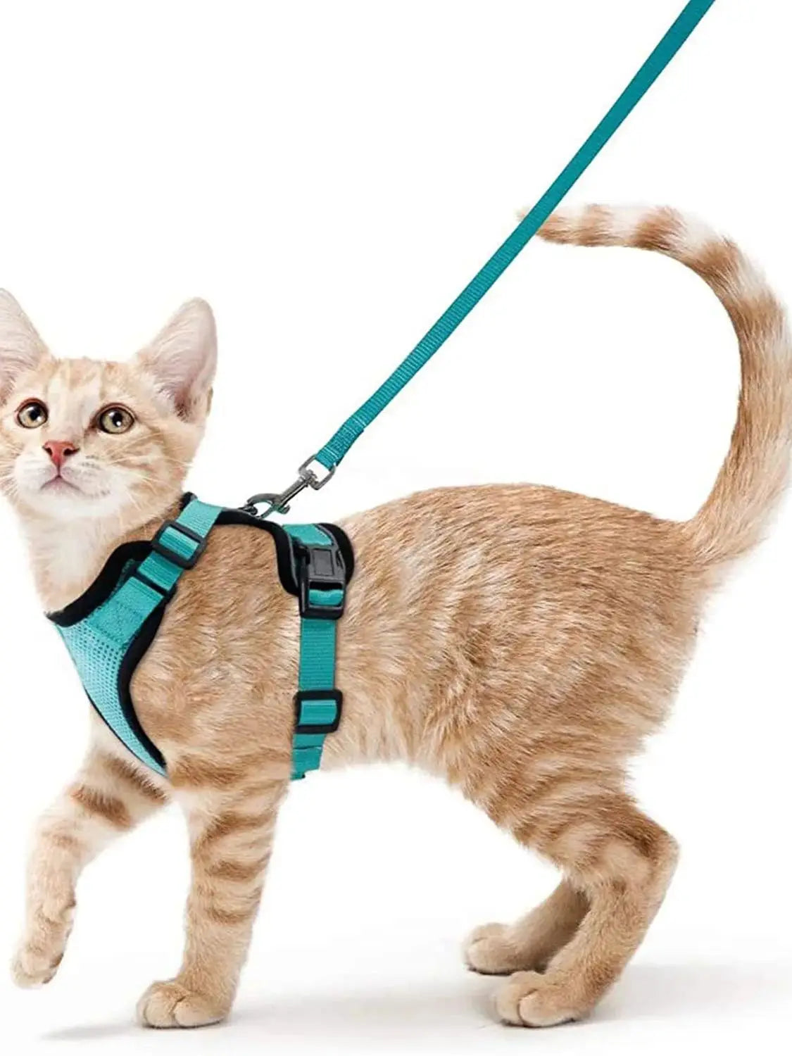 Katzengeschirr und Leine zum Spazierengehen, ausbruchsicheres, weiches, verstellbares Geschirr für Katzen, einfache Kontrolle