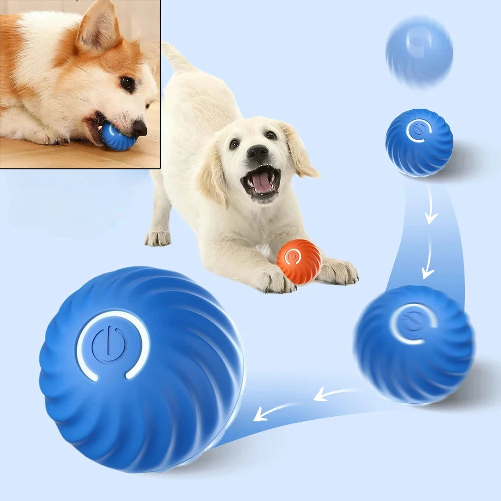 Hundespielzeug Ball Automatisch beweglicher, springender, rollender Ball USB Intelligenter interaktiver Hundekauspielball für Welpen