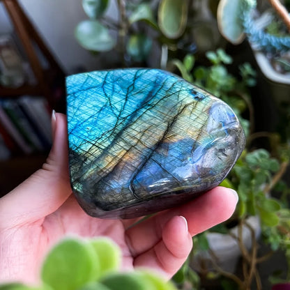 Hand holding a labradorite stone with a colorful pattern, surrounded by green plants.