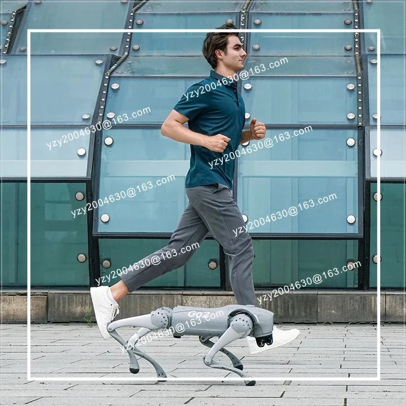 Unitree Go2 voice AI robot dog Go2 artificial intelligence electronic dog companion robot, quadruped technology dog