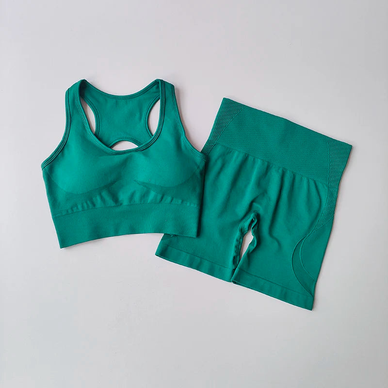 Women's Seamless Yoga Set | Sexy Sport Bra & High Waist Shorts