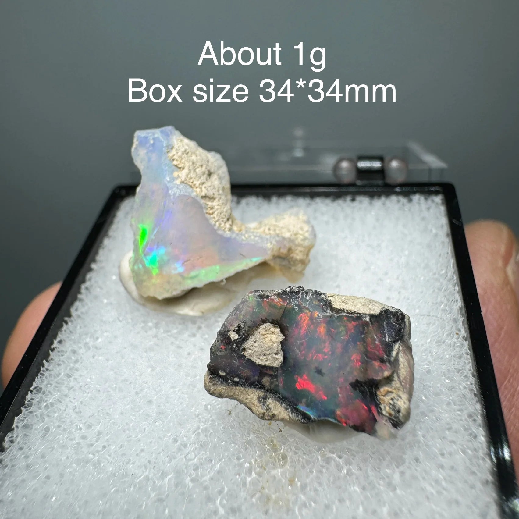 Two opal stones on a white foam pad with text indicating weight and box size.