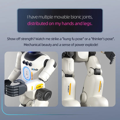 Smart Humanoid RC Robot 2.4G Gesture Sensing Recording