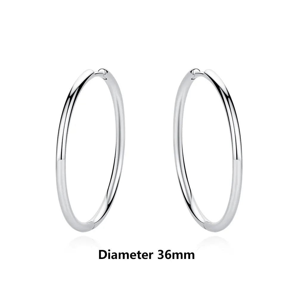 Original 925 Sterling Silber Ohrringe 2025 Stecker Creolen Kristall Ohrringe für Damen Roségold Krone Herz Unendlichkeit Biene Ohrring Schmuck