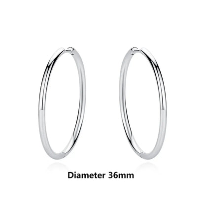 Original 925 Sterling Silber Ohrringe 2025 Stecker Creolen Kristall Ohrringe für Damen Roségold Krone Herz Unendlichkeit Biene Ohrring Schmuck