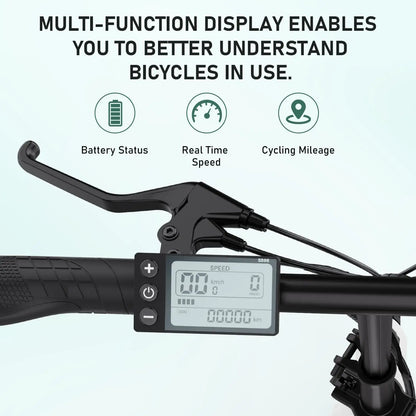 Foldable Electric Bike 36V 10.4Ah For The City Ride