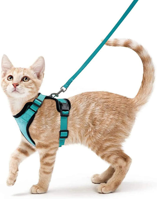 Katzengeschirr und Leine zum Spazierengehen, ausbruchsicheres, weiches, verstellbares Geschirr für Katzen, einfache Kontrolle