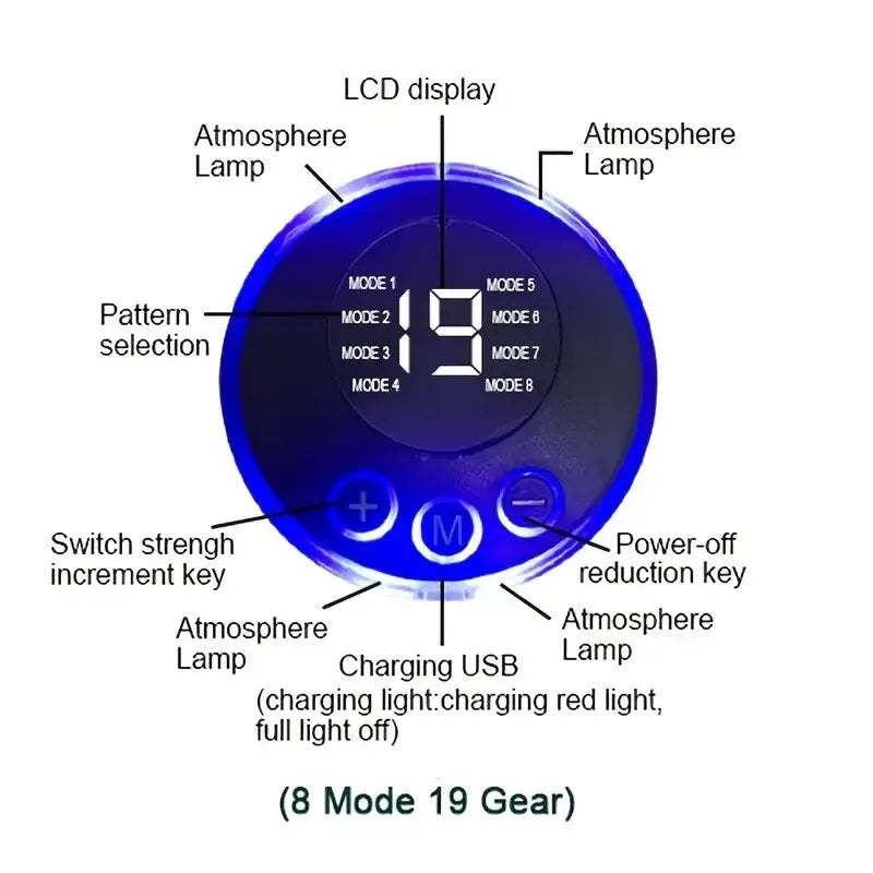 Control panel with labeled components for an electronic device, featuring a blue LCD display and buttons.