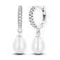 925 Sterling Silver Hoops Earrings Hypoallergenic Hoops Earrings With Zirconia Fashion High Quality Jewelry for Women Girls
