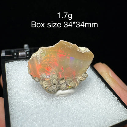 Natural Ethiopia Opal Gem Mineral Specimen Box