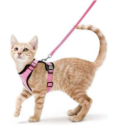 Katzengeschirr und Leine zum Spazierengehen, ausbruchsicheres, weiches, verstellbares Geschirr für Katzen, einfache Kontrolle