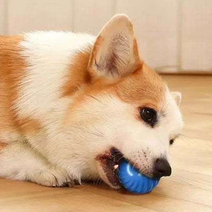 Hundespielzeug Ball Automatisch beweglicher, springender, rollender Ball USB Intelligenter interaktiver Hundekauspielball für Welpen