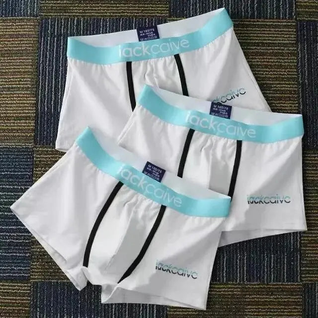 3Pcs Men's Cotton Boxer Briefs Breathable Printed M-3XL