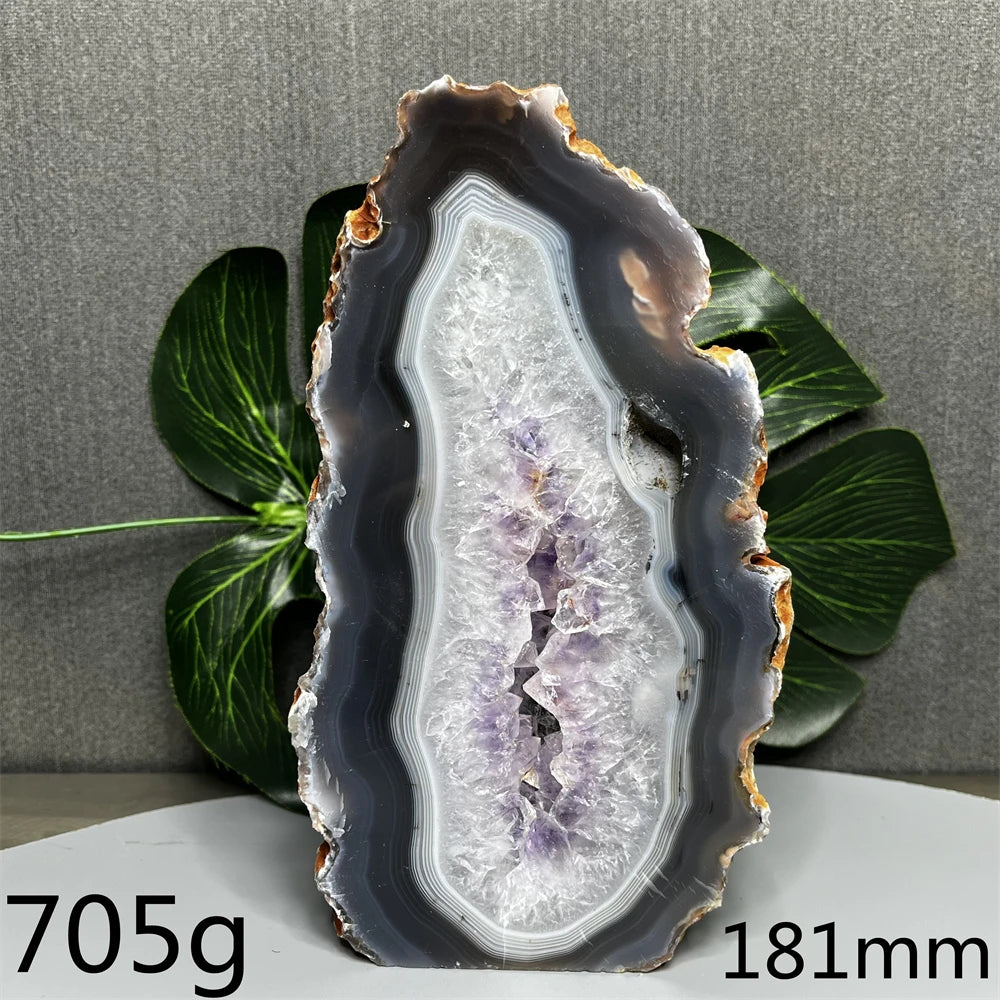 Amethyst geode with leaves on a gray background