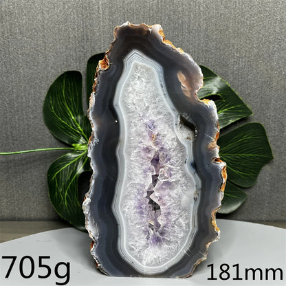 Amethyst geode with leaves on a gray background