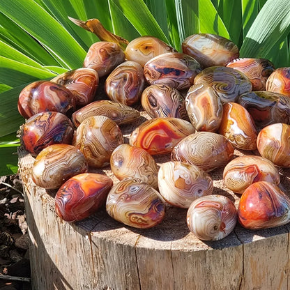 Teglex Natural Sardonyx Agate Palm Stone | Reiki Healing