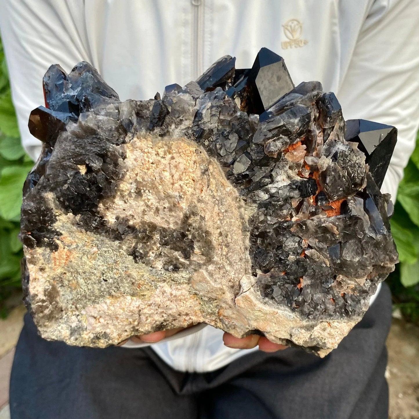 Person holding a large crystal formation with dark and light minerals.