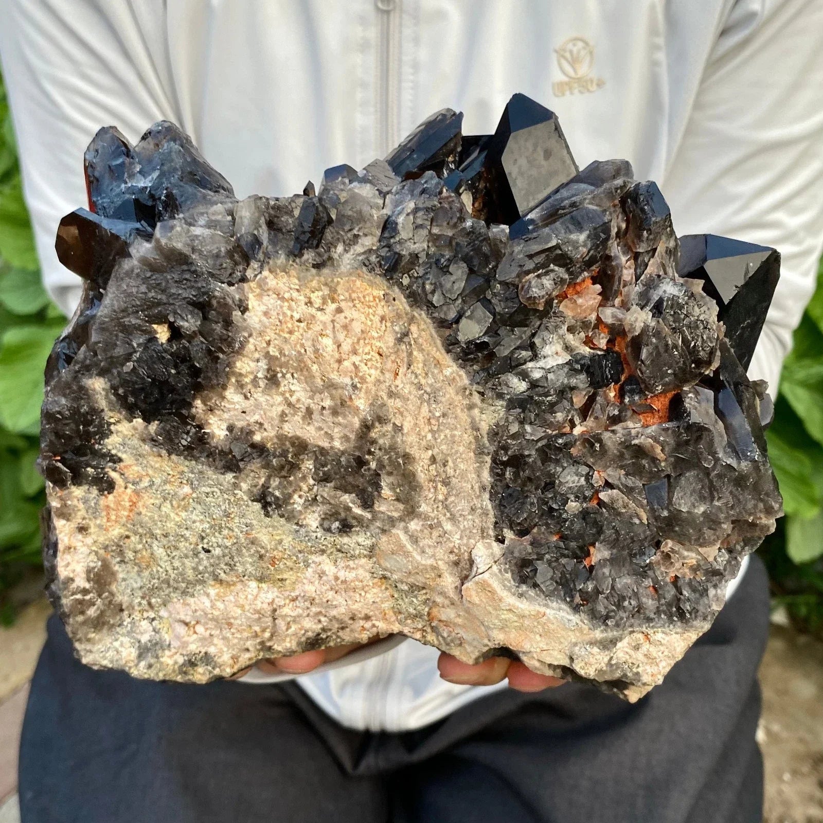 Person holding a large crystal formation with dark and light minerals.