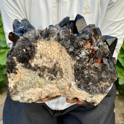 Person holding a large crystal formation with dark and light minerals.
