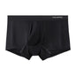 2Pcs Men's Scrotal Support Ice Silk Boxer Briefs Varicose