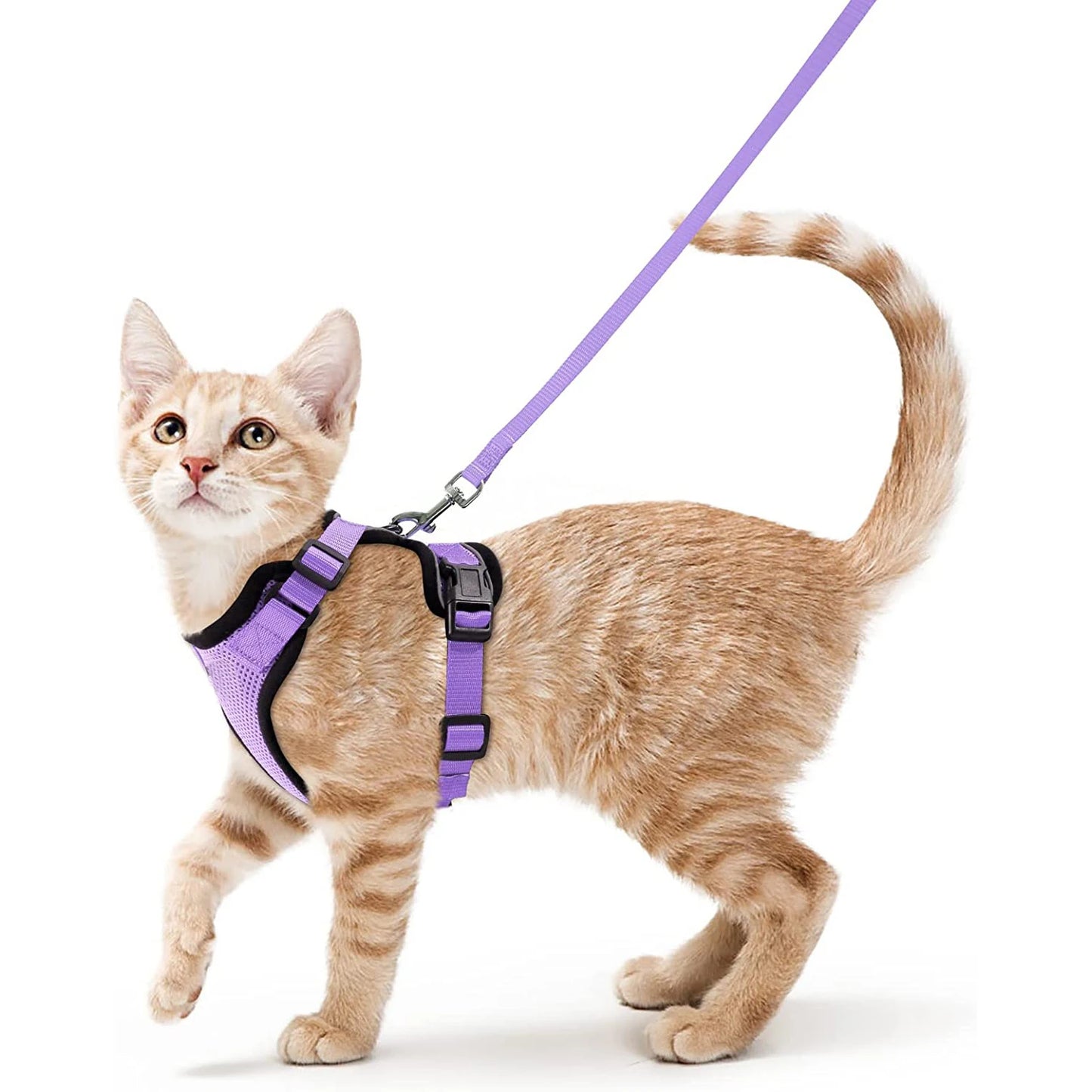 Katzengeschirr und Leine zum Spazierengehen, ausbruchsicheres, weiches, verstellbares Geschirr für Katzen, einfache Kontrolle
