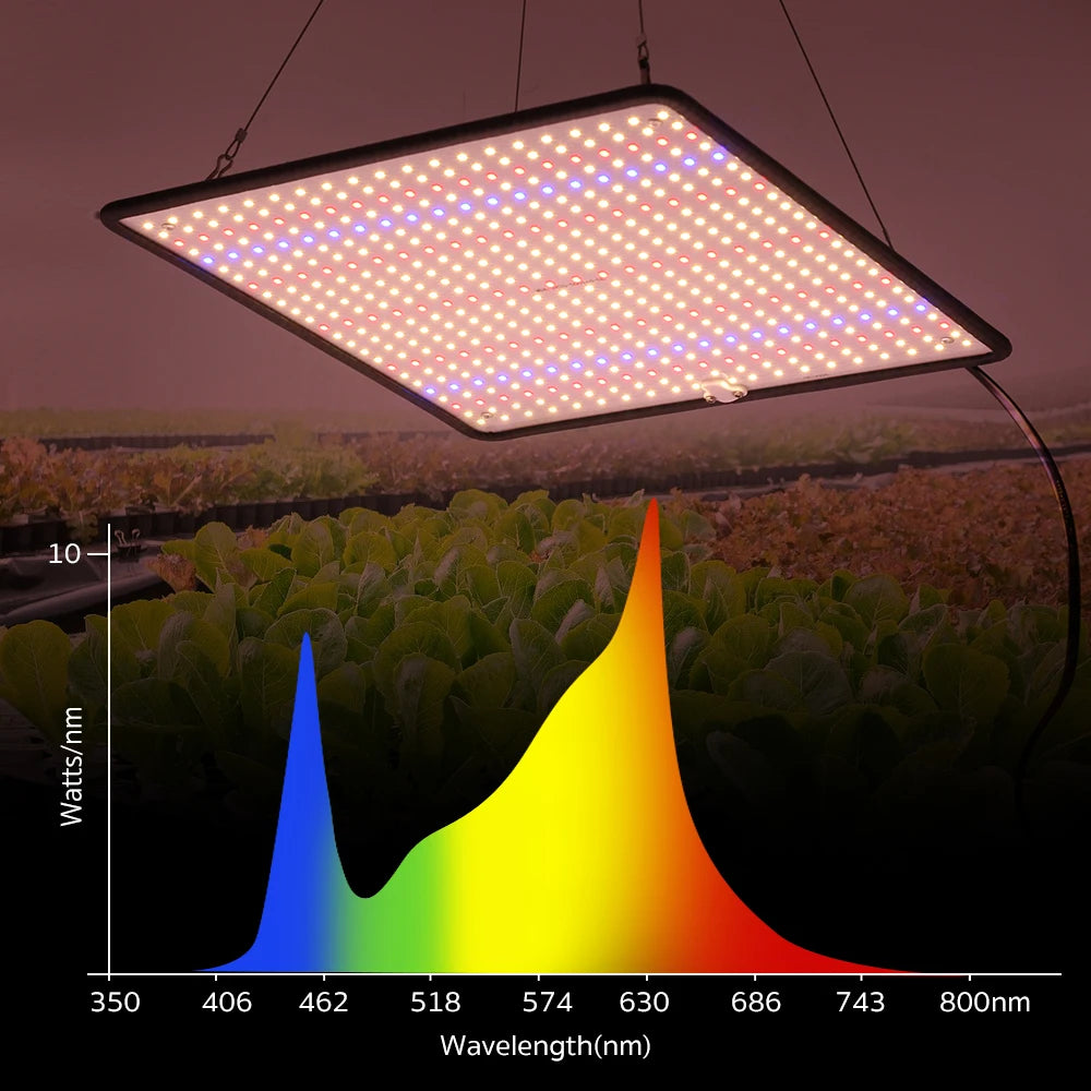 LED-Pflanzenlampe Vollspektrum Phyto Lampe AC85-240V 40W Für Indoor Growzelt Pflanzenwachstumslampe