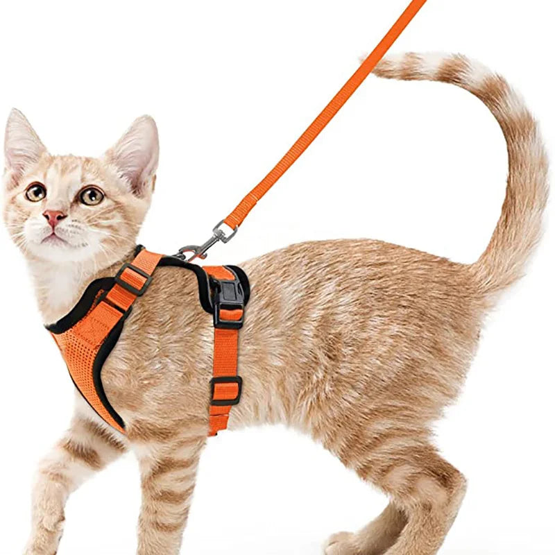 Katzengeschirr und Leine zum Spazierengehen, ausbruchsicheres, weiches, verstellbares Geschirr für Katzen, einfache Kontrolle