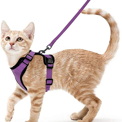 Katzengeschirr und Leine zum Spazierengehen, ausbruchsicheres, weiches, verstellbares Geschirr für Katzen, einfache Kontrolle