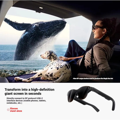 Person with a dog sitting in a car, looking at a whale, with text about a high-definition screen device.