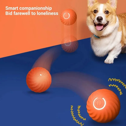 Hundespielzeug Ball Automatisch beweglicher, springender, rollender Ball USB Intelligenter interaktiver Hundekauspielball für Welpen