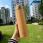TYESO 600/750ML Thermosflasche mit Strohhalm Edelstahl Auto Thermobecher Sport Wasserflaschen Hält Kalt und Warm Thermobeker