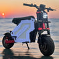 120KMH Dual Motor Electric Scooter Bike 10000W