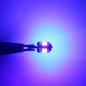T10 Car Led Light Bulb W5W LED Canbus No Error Super Bright Car Interior Light SMD Auto Bulb White Amber Red Reading Dome Lamp
