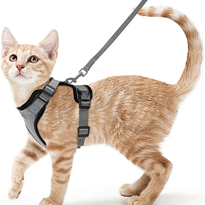 Katzengeschirr und Leine zum Spazierengehen, ausbruchsicheres, weiches, verstellbares Geschirr für Katzen, einfache Kontrolle
