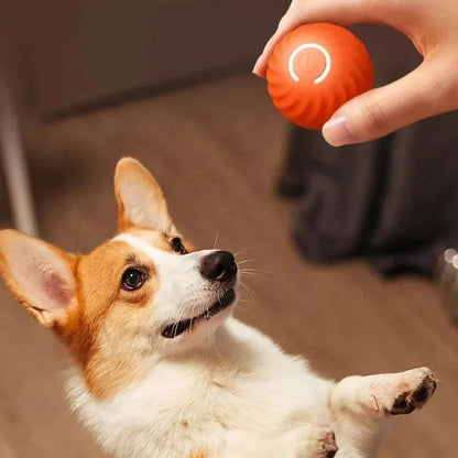 Hundespielzeug Ball Automatisch beweglicher, springender, rollender Ball USB Intelligenter interaktiver Hundekauspielball für Welpen